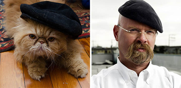 Jamie From Mythbusters Copycat Cat