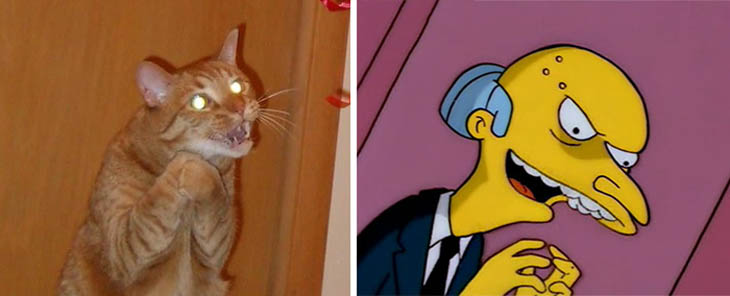 Mr Burns Copycat Evil Plan Cat