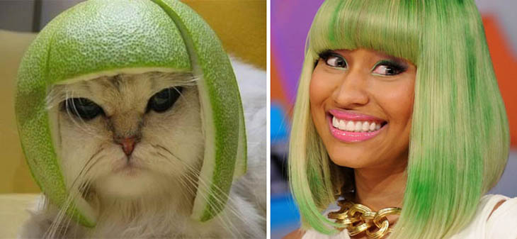 Nicky Minaj Copycat Cat With Pomelo Hat