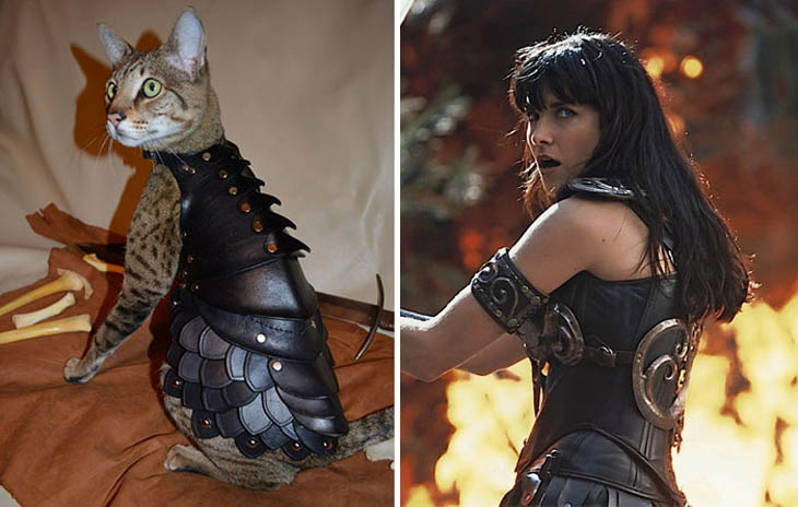 Xena, Warrior Princess Copycat Cat