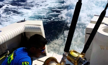 Fisherman Got Shocked When They Saw A Sea Lion Chasing For His Share. This Is Incredible!