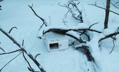 He Finds A Box Hidden In The Snow. What’s Inside Will Melt Your Heart!