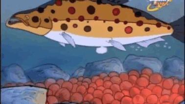 When the fish did this to the Magic School Bus.