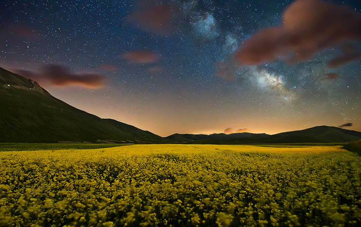 Tra Fiori E Stelle (castelluccio Di Norcia, Italy)