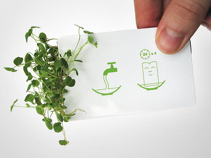 Smartest business cards - Designer’s plant in your pocket card.