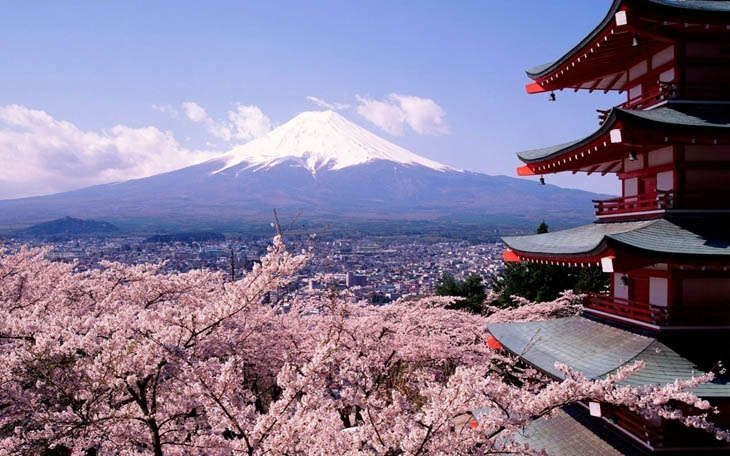 Cherry blossoms and Mt Fuji in Japan