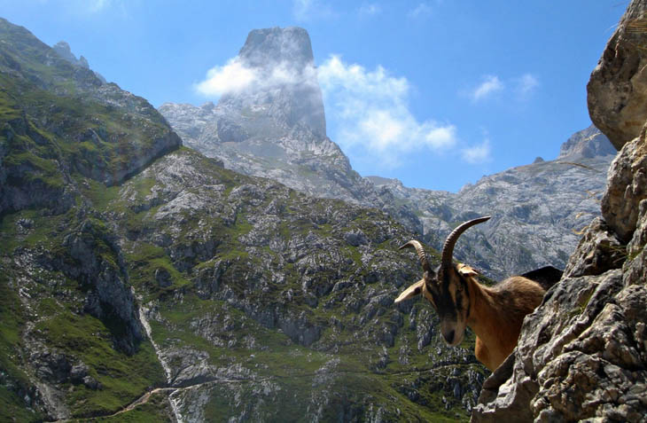 Picos Mountains, Northern Spain