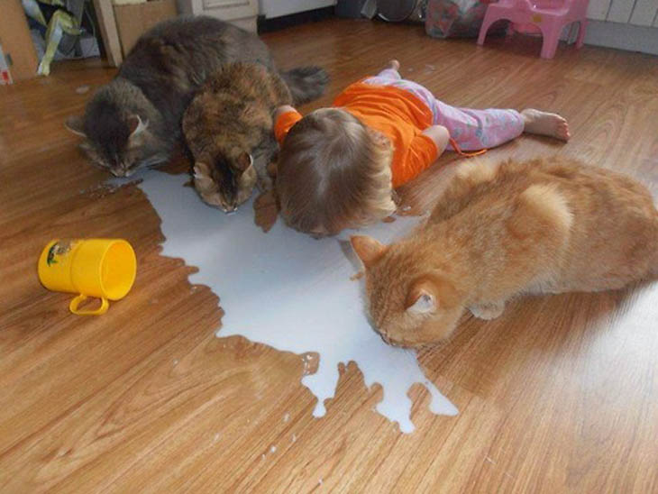 Cute Kids Act Like Animals- Cat Siblings Drinking Milk