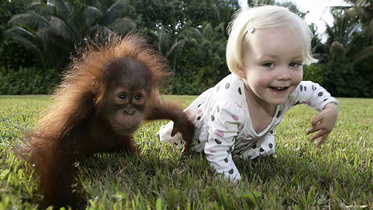 Cute Kids Act Like Animals- Baby Orangutan Rishi And Emily The Copycat