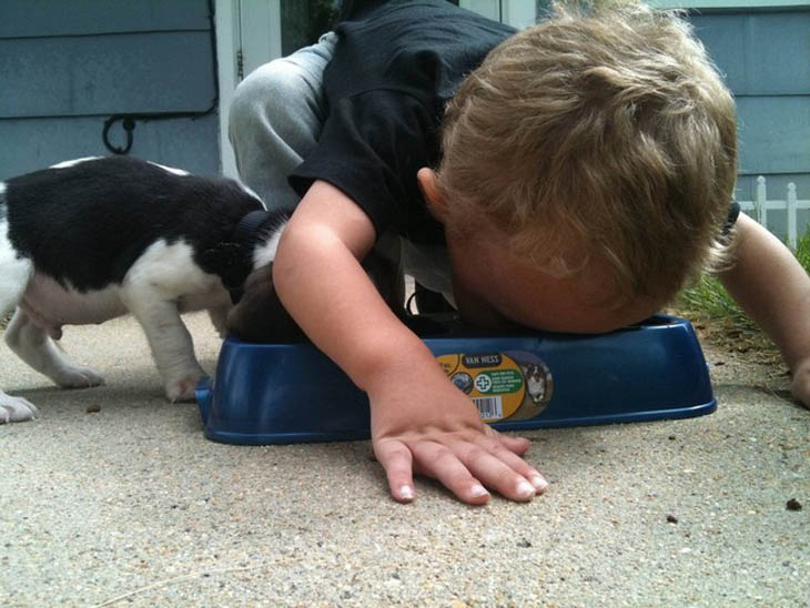 Cute Kids Act Like Animals- Puppy And Kid Having Food