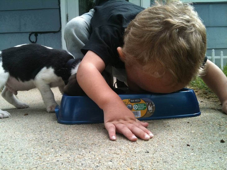 These Cute Kids Seriously Think They Are Animals.