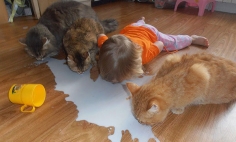 These Cute Kids Seriously Think And Act Like Animals. #32 Is The Cutest!