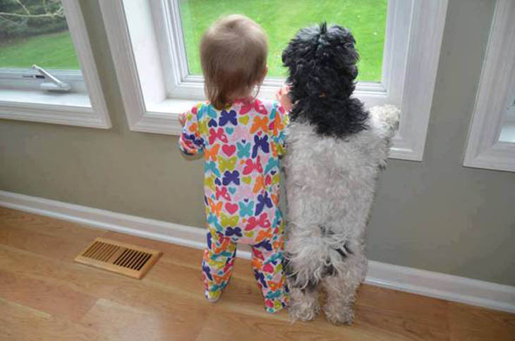 These Cute Kids Seriously Think They Are Animals.