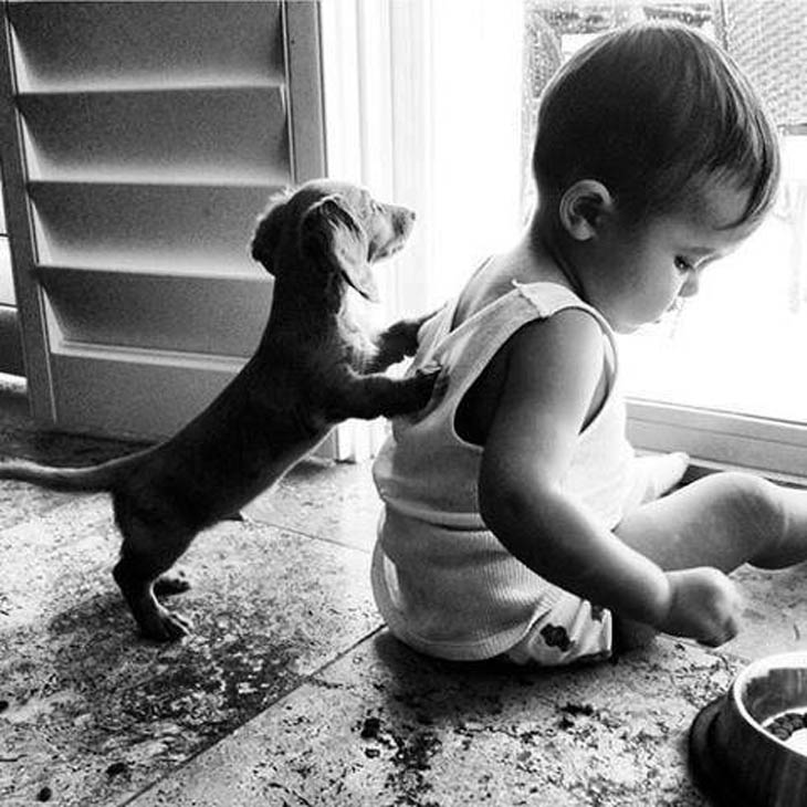 These Cute Kids Seriously Think They Are Animals.