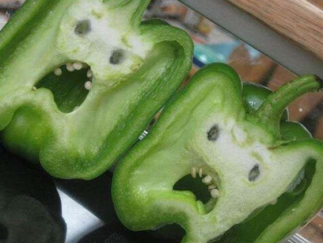 Bell Peppers Look Like Screaming Faces