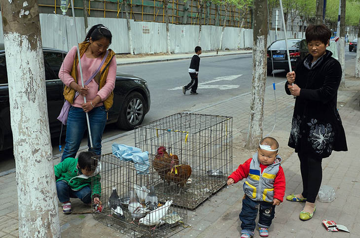 perfectly timed street photography