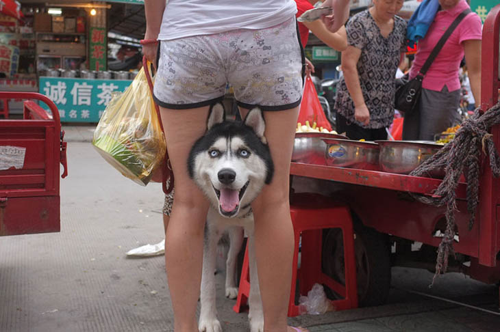 perfectly timed street photography