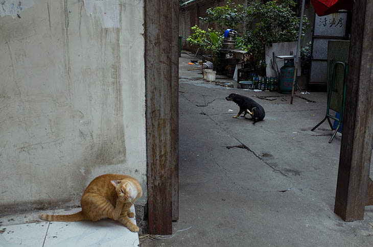 perfectly timed street photography