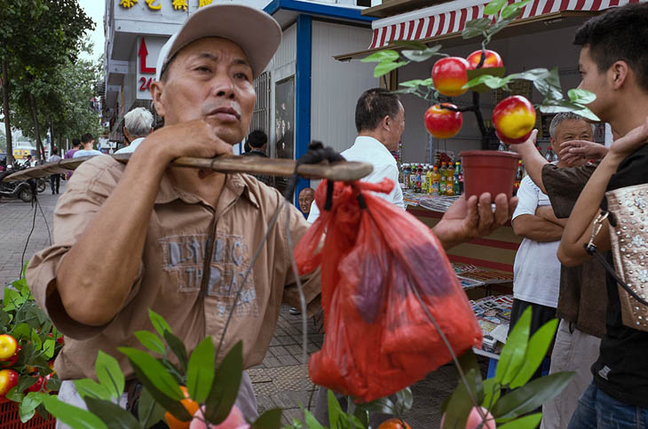 perfectly timed street photography