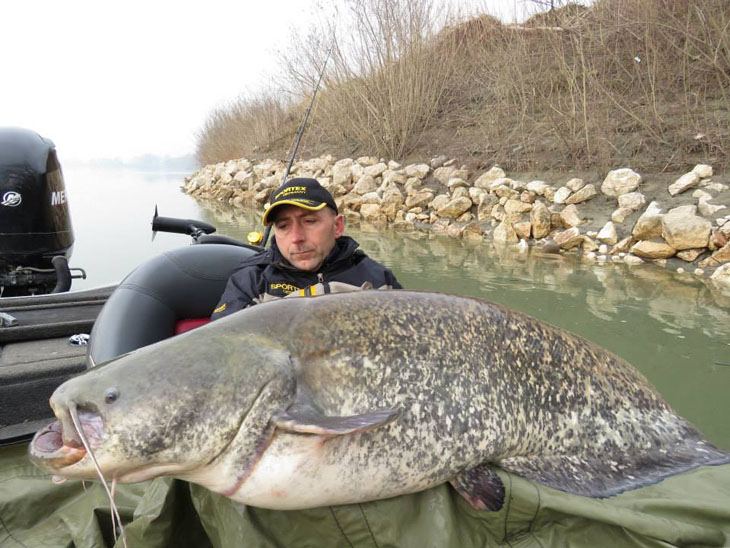 What's the biggest fish you've ever caught? Does it compare?