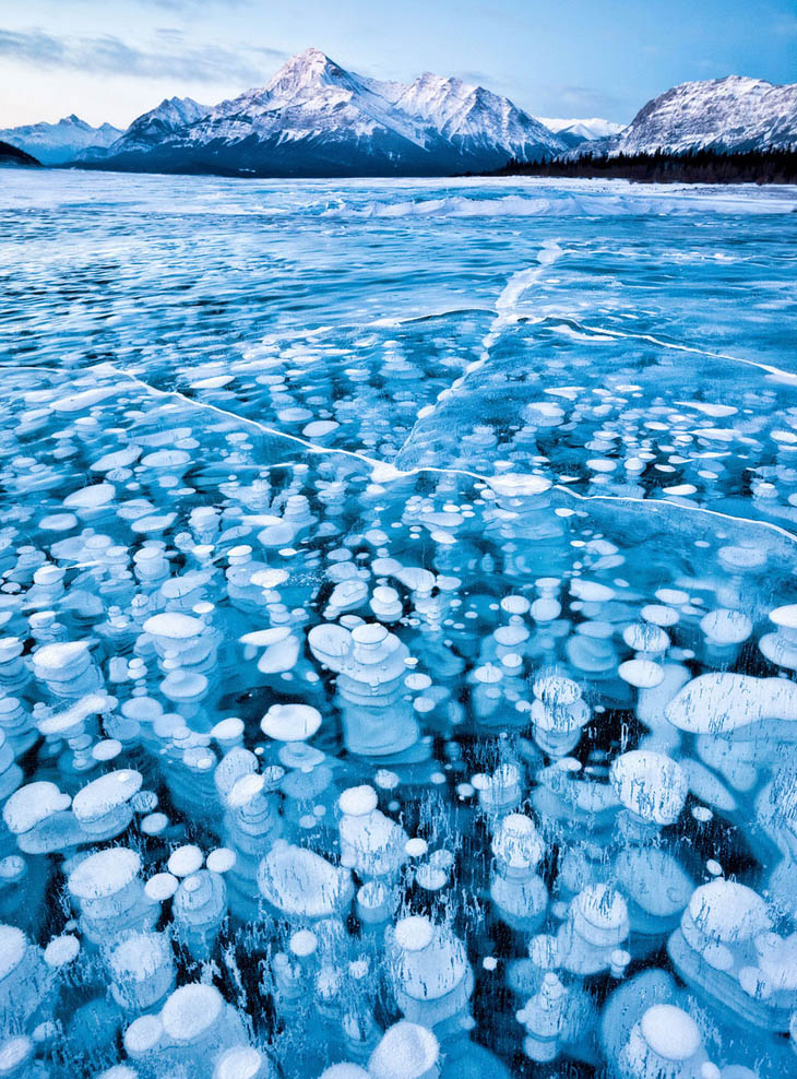 Frozen lakes - Bubbles Under The Ice Of Abraham Lake, Canada