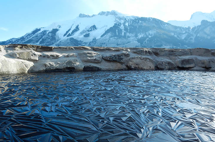 Pond In Switzerland