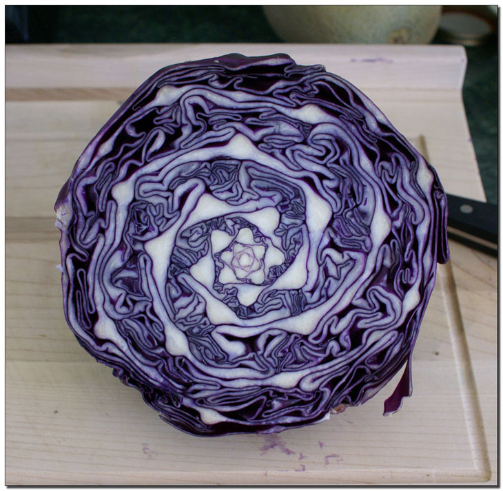 Perfection photos - Natural Geometry In Cabbage