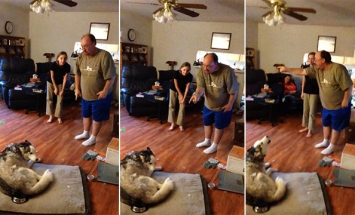 His Pet Stole His Potato Skin. The Ensuing Argument Is Just Hilarious!