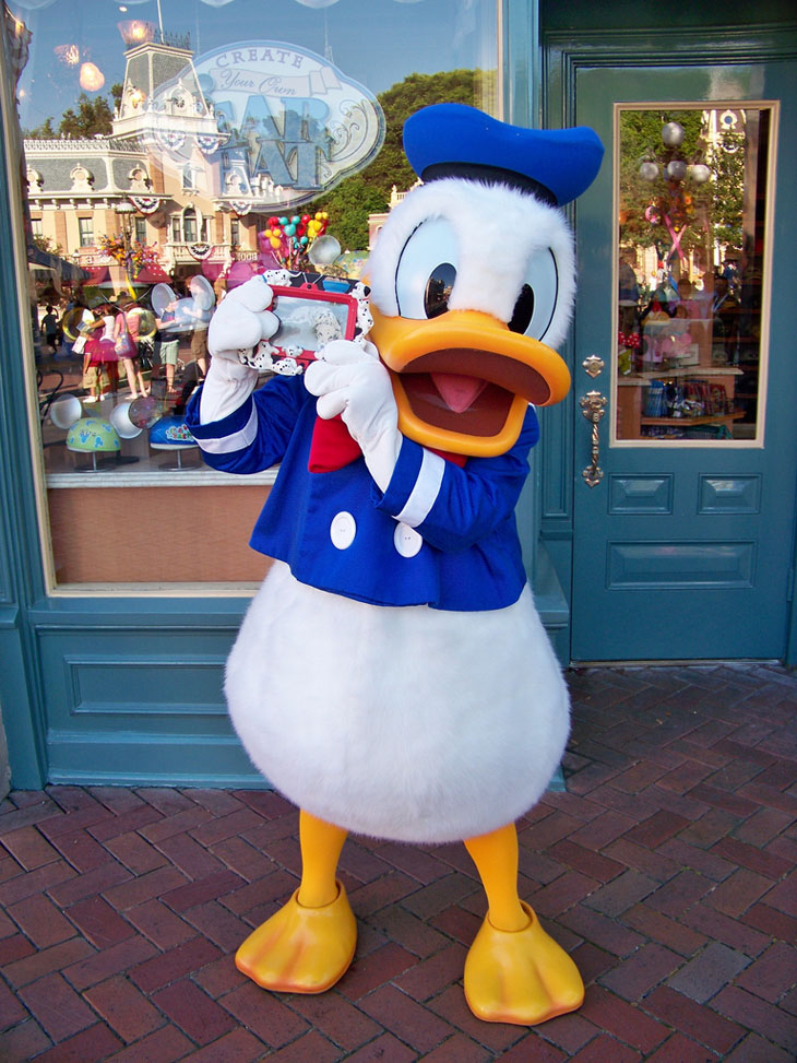 Weird urban myths -  Donald Duck is the world's most modest nudist.