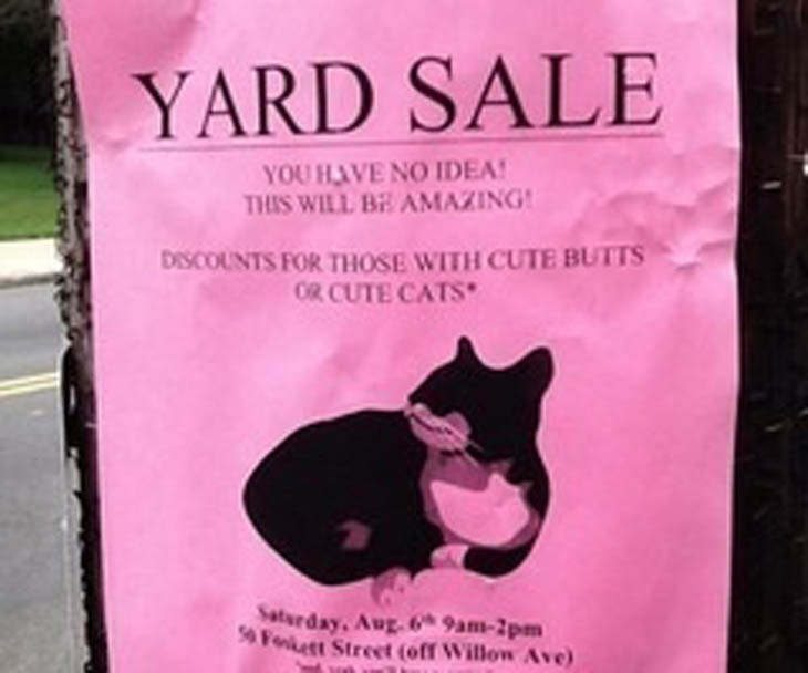 Double discount for a cat with a cute butt.