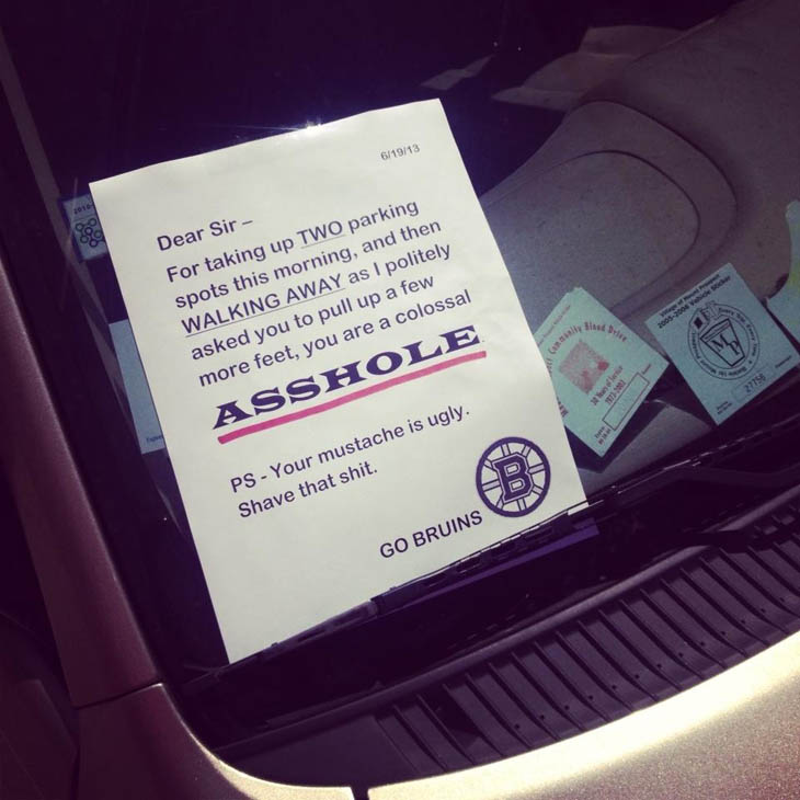 Yes SIR...You Park Like An ASSHOLE!