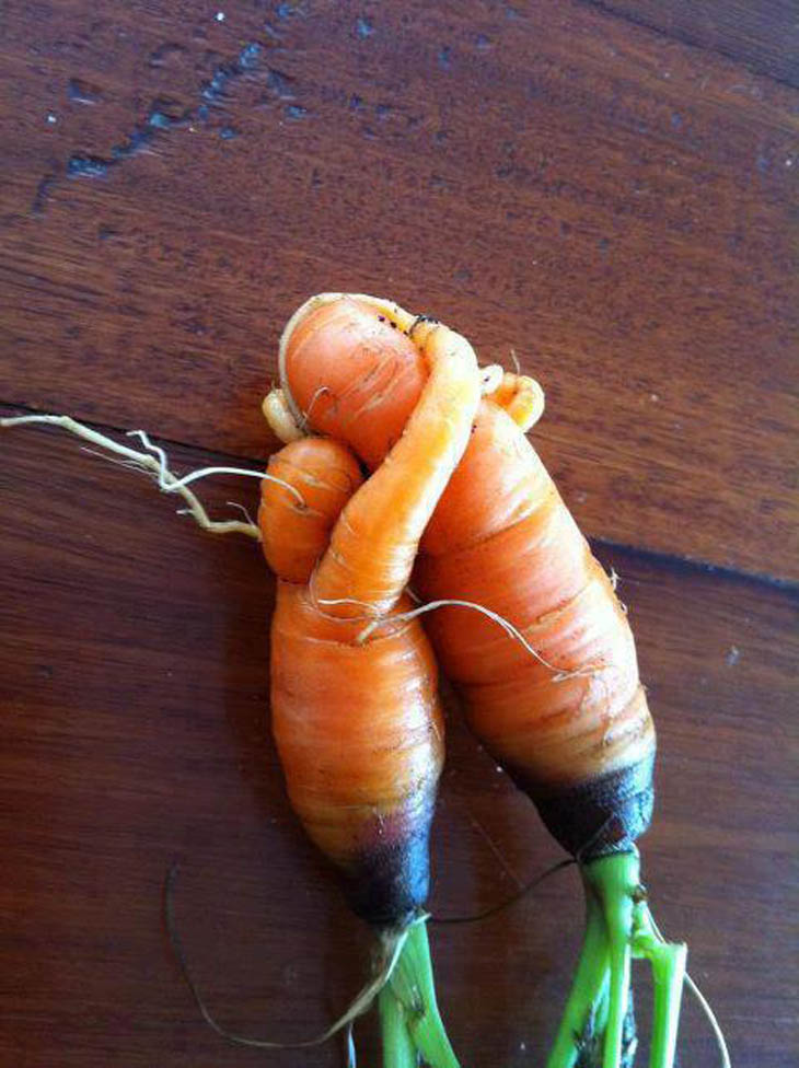 Mother And Child Vegetables