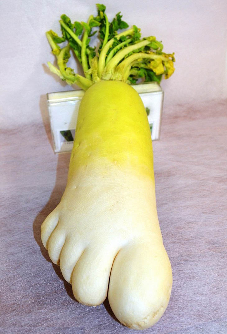 Foot Shaped Radish