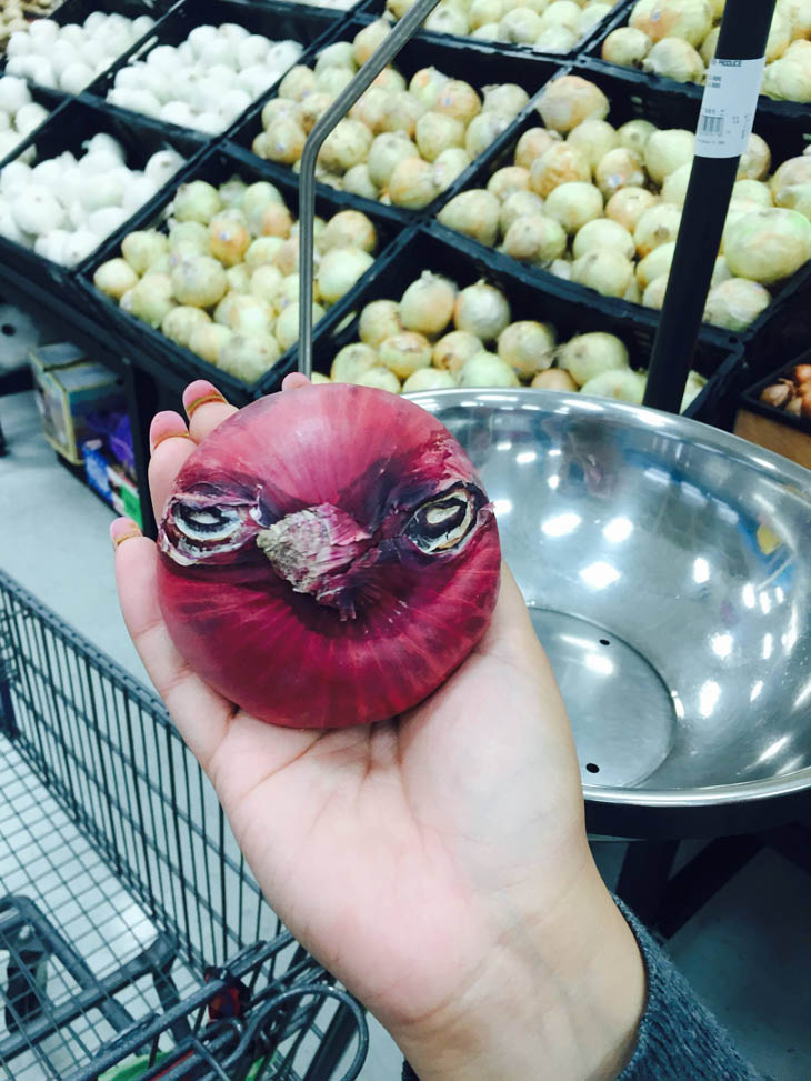 Onion Looks Like An Angry Bird