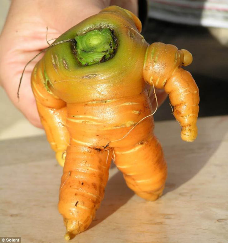 Toy Story’s Buzz Lightyear As A Carrot