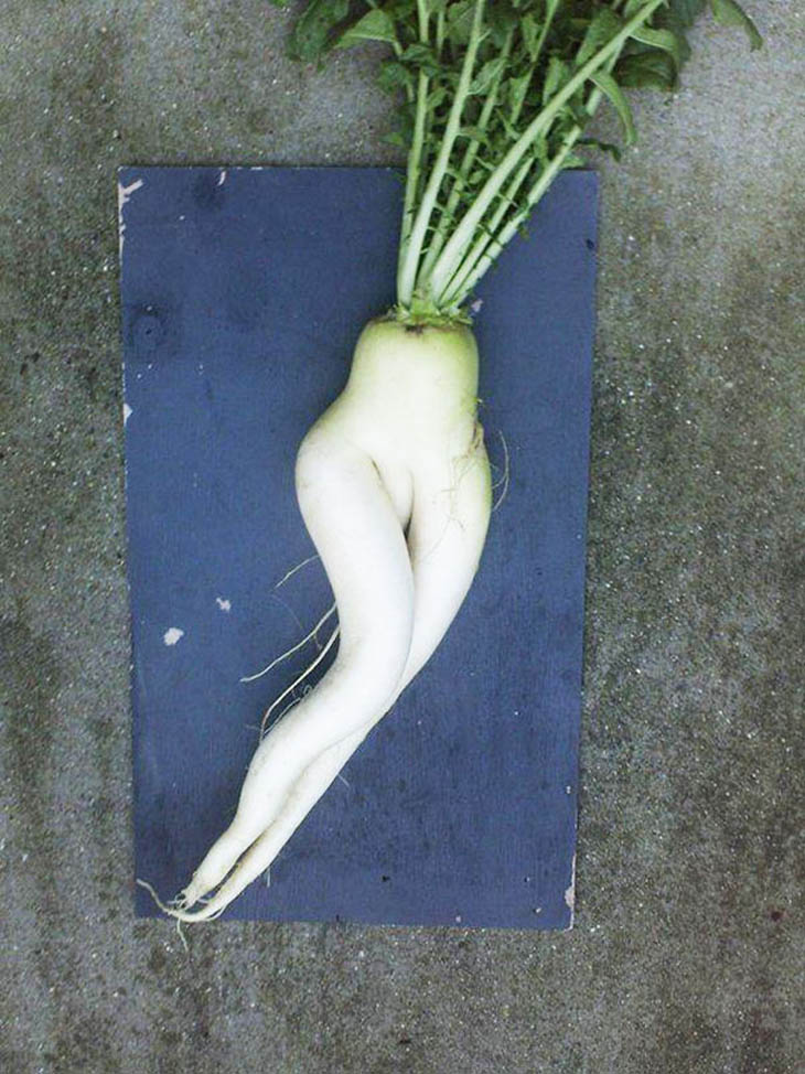More Sexy Vegetables