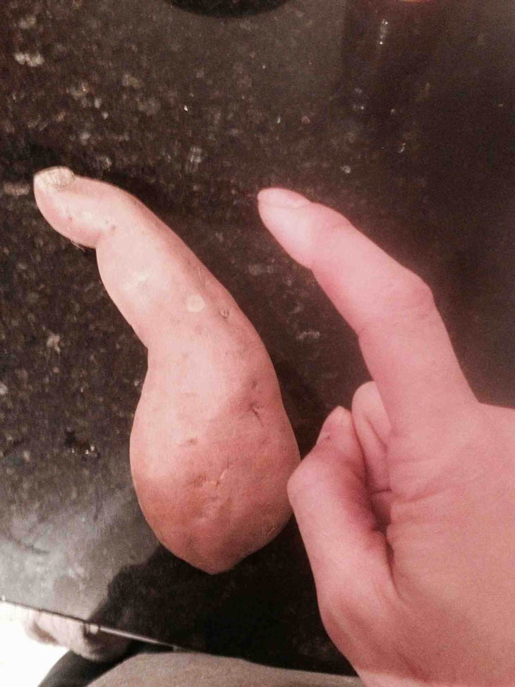 Sweet Potato Looks Like Finger