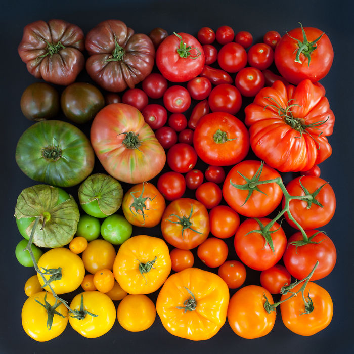 Most Satisfying Arrangements Of Natural Food and Objects