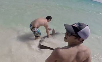 They Caught A Hammerhead Shark… And What They Did With It Is Just Amazing!