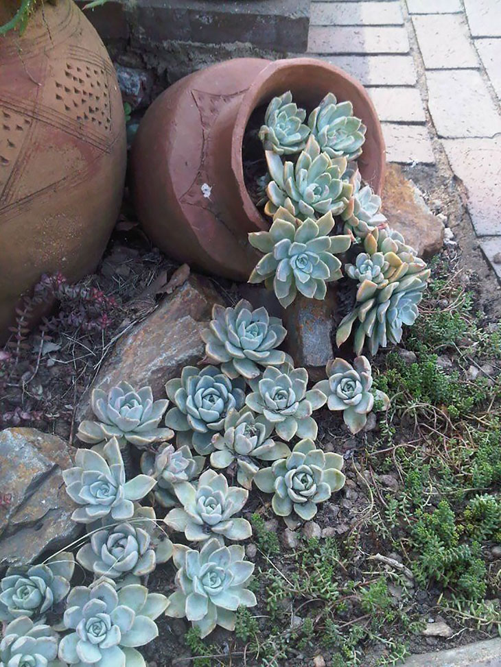 Creative Spilled Flower Pots