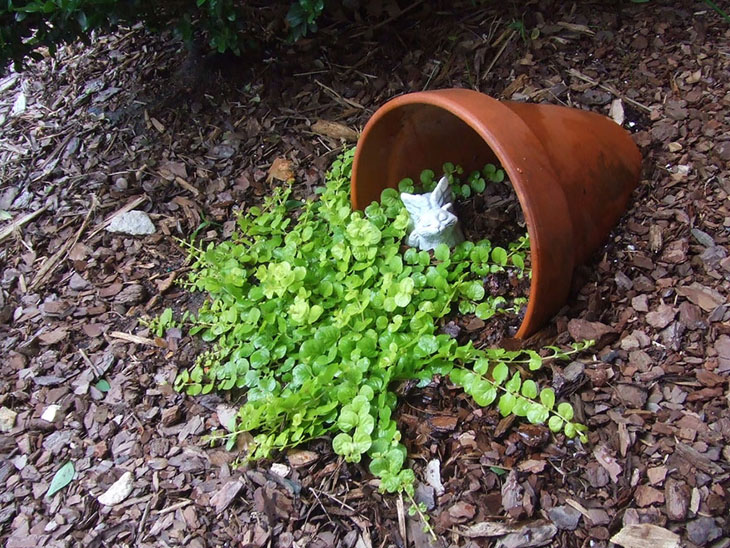 Creative Spilled Flower Pots