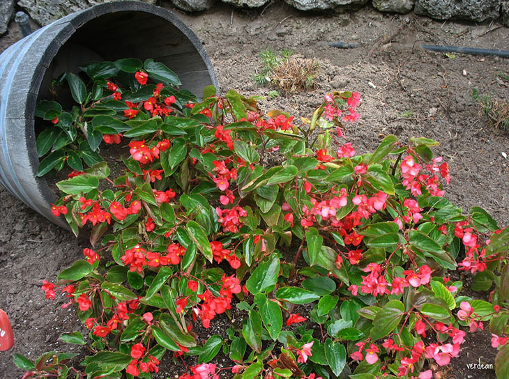 Creative Spilled Flower Pots