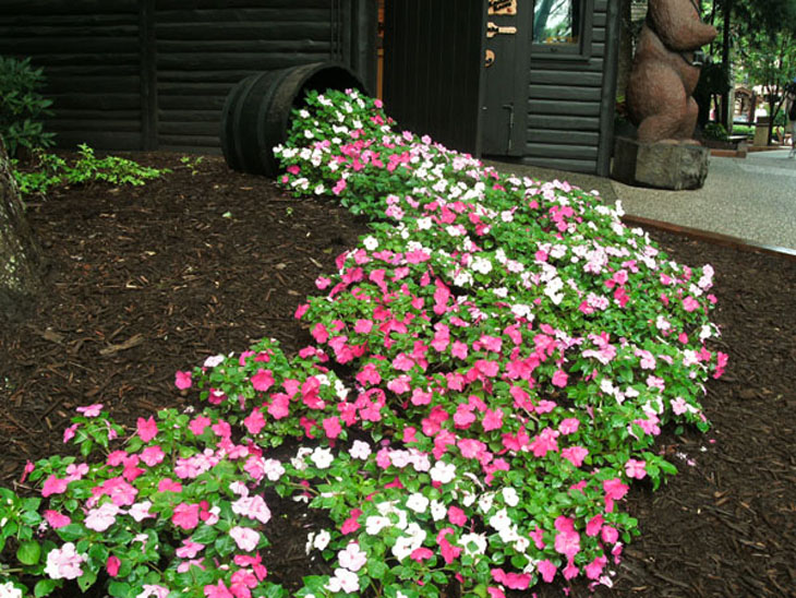 Creative Spilled Flower Pots