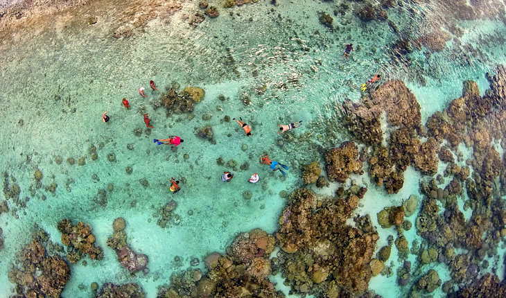 Snorkeling in the coral garden of Taha’a lagoon, French. Polynesia.