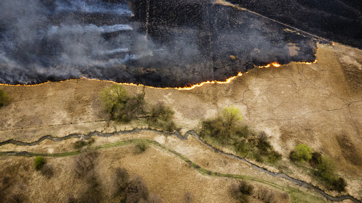 Burning of meadows in Poland.