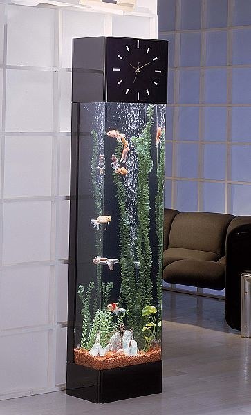 Clock Aquarium