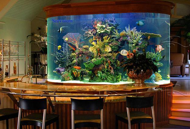 Bar Aquarium