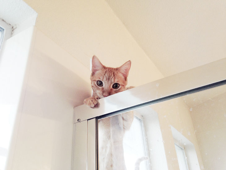 First Time Being Watched In The Shower By A Non-Person