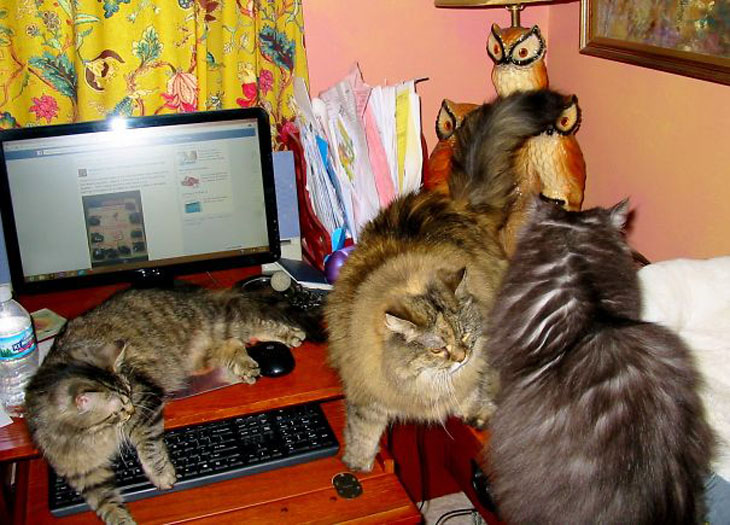 Why I Never Get Any Work Done.