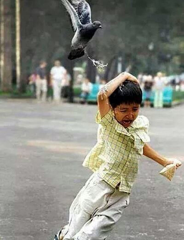 The boy who got just a little too close to this pigeon.